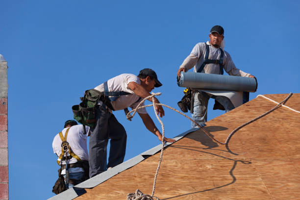 Best Gutter Installation and Roofing  in Canutillo, TX
