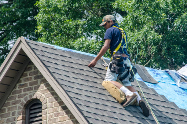 Best Roof Gutter Cleaning  in Canutillo, TX